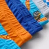 1.5-8yrs | 6pk hot wheels briefs 1.5-8yrs | 6pk hot wheels briefs