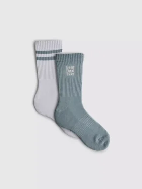 2pk best dad socks
