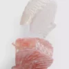 2pk shell hair clips