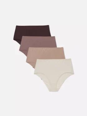 4-pack multi full briefs