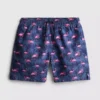 7-15yrs | flamingo graphic swim shorts 7-15yrs | flamingo graphic swim shorts