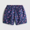 7-15yrs | flamingo graphic swim shorts 7-15yrs | flamingo graphic swim shorts