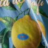 Amalfi lemon graphic t-shirt Amalfi lemon graphic t-shirt