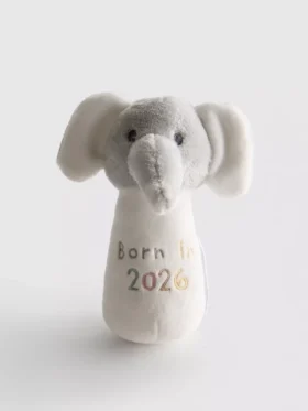 Born in 2026 rattle toy