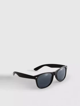 Classic wayfarer sunglasses