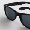 Classic wayfarer sunglasses