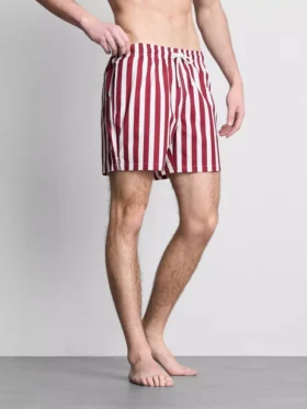 Deck chair stripe swim shorts