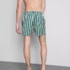 Deck chair stripe swim shorts Deck chair stripe swim shorts