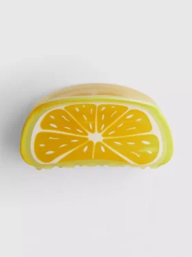 Fruit slice hair clip