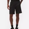 Mesh gym shorts Mesh gym shorts
