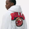 Nba chicago bulls logo hoodie Nba chicago bulls logo hoodie