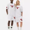 Nba chicago bulls t-shirt Nba chicago bulls t-shirt