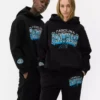 Nfl carolina panthers logo hoodie Nfl carolina panthers logo hoodie