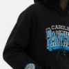 Nfl carolina panthers logo hoodie Nfl carolina panthers logo hoodie