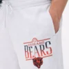 Nfl chicago bears Nfl chicago bears