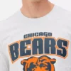 Nfl chicago bears logo t-shirt Nfl chicago bears logo t-shirt