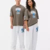 Nfl detroit lions logo t-shirt Nfl detroit lions logo t-shirt
