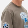 Nfl detroit lions logo t-shirt Nfl detroit lions logo t-shirt