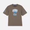 Nfl detroit lions logo t-shirt Nfl detroit lions logo t-shirt