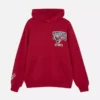 Nfl houston texans team hoodie Nfl houston texans team hoodie