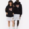 Nfl washington commanders logo hoodie Nfl washington commanders logo hoodie