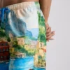 Scenic swim shorts Scenic swim shorts