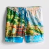 Scenic swim shorts Scenic swim shorts